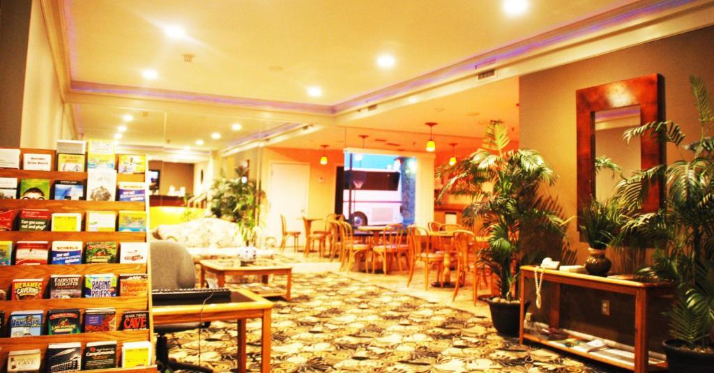Homestyle And Hotel Springfield