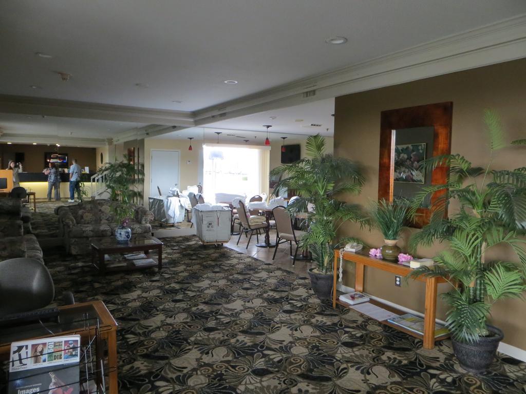 Hotel Homestyle And Springfield